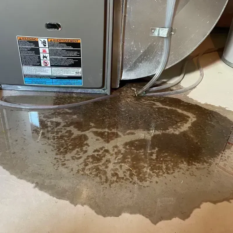 Appliance Leak Cleanup in Marquette Heights, IL